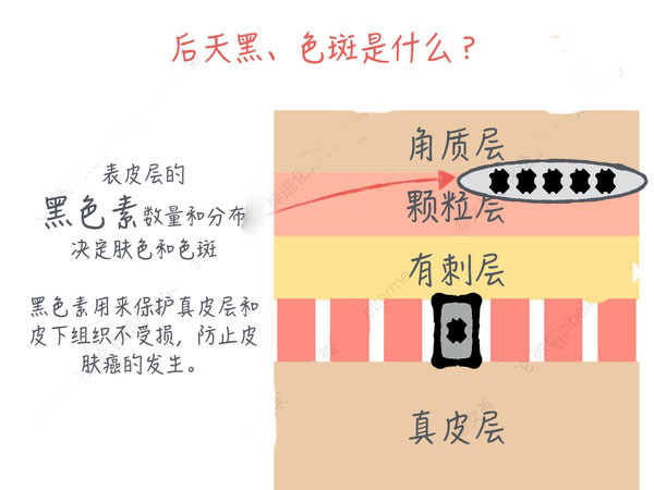 化妝品OEM 