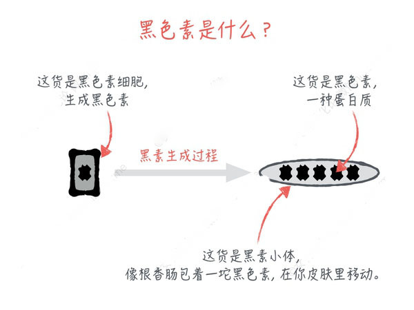 化妝品OEM 